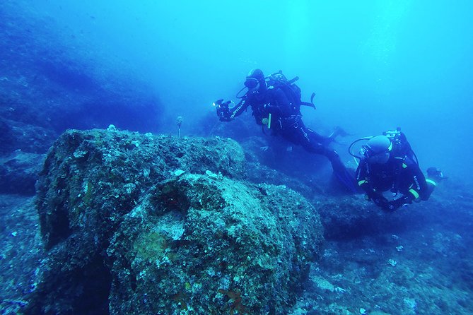 Diving for certified divers with PADI 5<em> Diving Resort – Taormina – Intro Options and Mixed-Level Days: How This Works If Your Group Isn’t All Certified’ /><br />
Even though this particular day is presented for <strong>certified scuba participants</strong>, the program notes indicate <strong>intro underwater options and snorkeling</strong> can be available during the daily schedule.</p>
<p><p>That’s useful if:</p>
</p>
<ul>
<li>You’re certified but your friend is not</li>
<li>Someone wants snorkeling while you do both underwater sessions</li>
<li>You want a shared day on the water without splitting into separate tours</li>
</ul>
<p><p>You’ll want to coordinate expectations at booking, especially if you’re bringing people who are doing snorkeling instead of the underwater component. The best “smooth day” comes from knowing who is doing what before you arrive, so the crew can organize buoyancy gear, briefings, and time on the water.</p>
</p>
<h2 id="timing-and-weather-the-two-things-you-should-respect">Timing and Weather: The Two Things You Should Respect</h2>
<p><img src=
