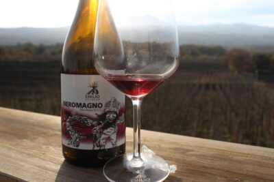 Etna Wine and Alcantara with lunch - Catania pickup and the small-group ride by jeep or minibus