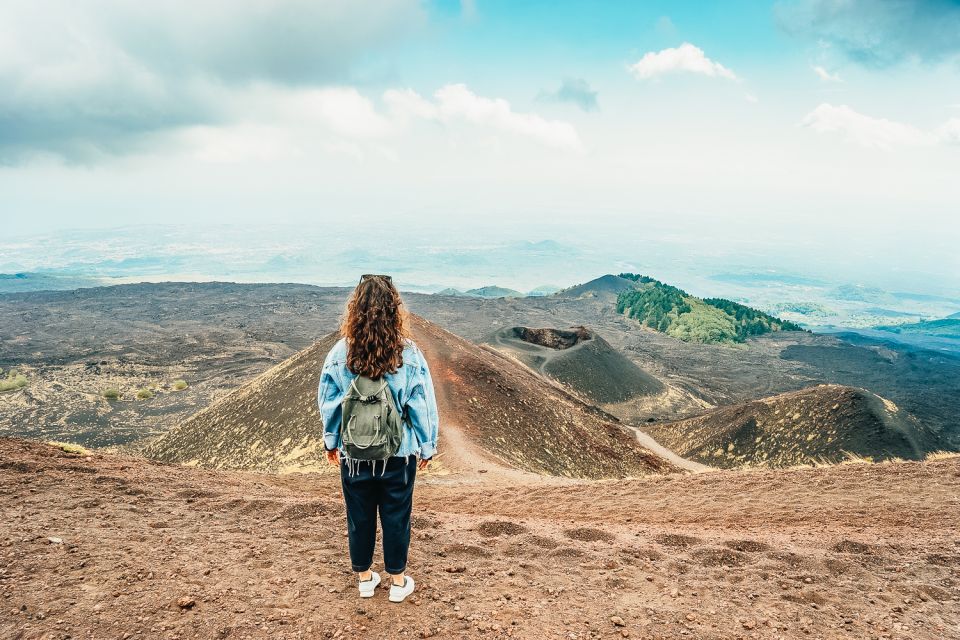 From Catania: Mt. Etna, Wine and Alcantara Tour - Price and Value: Is $117.82 Fair for 8 Hours?