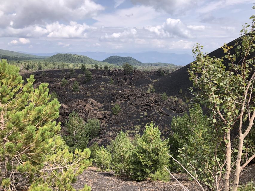 From Taormina: Full-Day Etna, Wine & Alcantara Canyons Tour - Price and value: why $116.68 adds up
