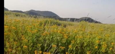 From Taormina, Naxos, & Letojanni: Mount Etna Half-Day Trip - Pickup Made Easy: Taormina, Naxos, Letojanni, or Mascali