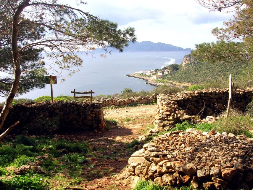 From Trapani: Cruise to Favignana and Levanzo with lunch - The Favignana arrival: village time plus tuna museum option