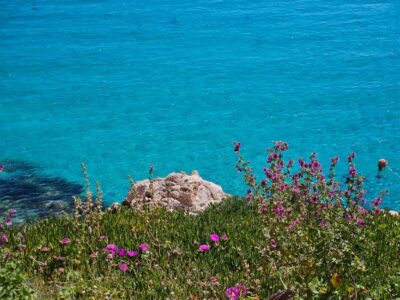 From Trapani: Favignana and Levanzo Shuttle Tour - How the Day Unfolds: Timed Stops That Keep You Moving