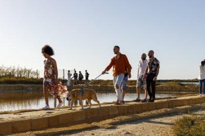 Guided tour of the salt pans of Trapani and the Salt Museum - Getting Hands-On With Salt: What You’ll Actually Do Outdoors
