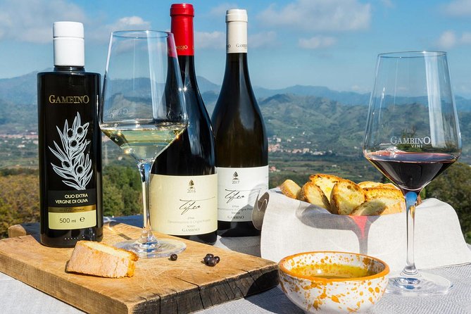 Private 6-Hour Tour of Three Etna Wineries with food&wine tasting - Hitting the Road From Taormina, Catania, or the Messina Area