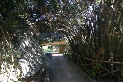 Syracuse: Neapolis Archaeological Park Small Group Tour - Meeting at the park: keep an eye on the start point