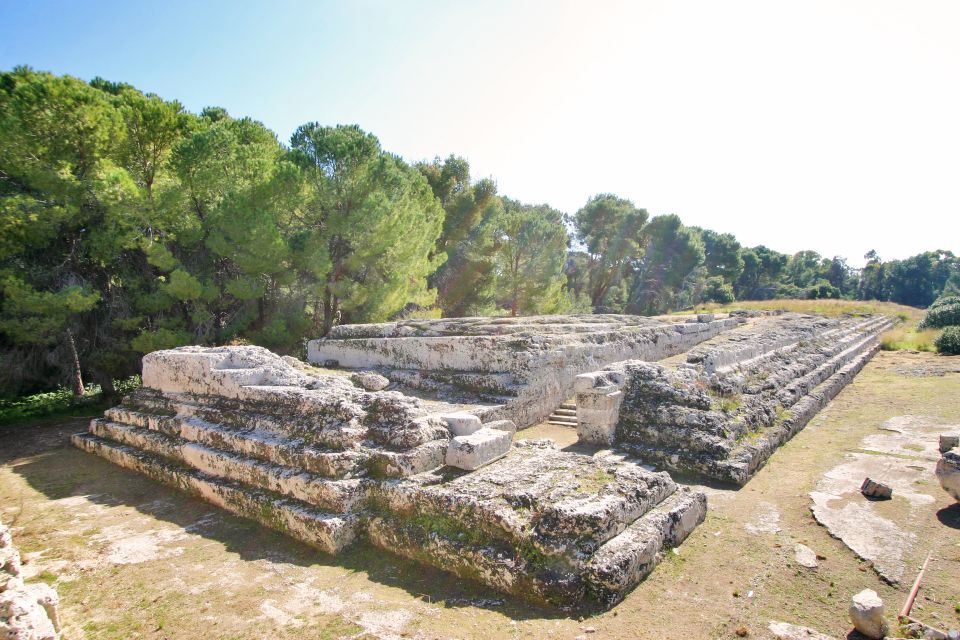 Syracuse: Neapolis Archaeological Park Small Group Tour - Shared group vs private: choose based on how you like to learn
